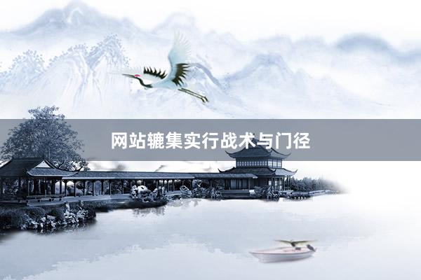 网站辘集实行战术与门径