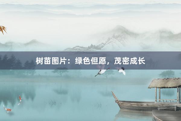 树苗图片：绿色但愿，茂密成长